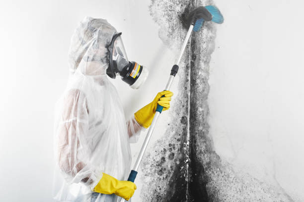 Best Indoor Air Quality Assessment  in Potomac Heights, MD