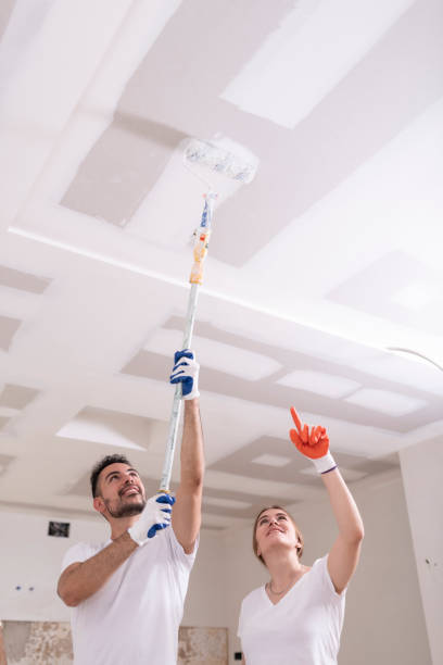 Best Mold Remediation for Healthcare Facilities  in Potomac Heights, MD