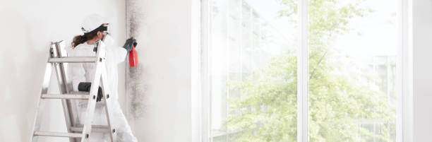 Best HVAC Mold Inspection and Cleaning  in Potomac Heights, MD