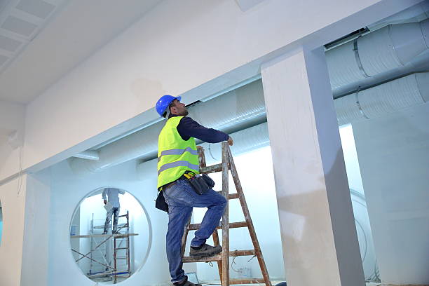 Best Mold Documentation for Insurance Claims  in Potomac Heights, MD