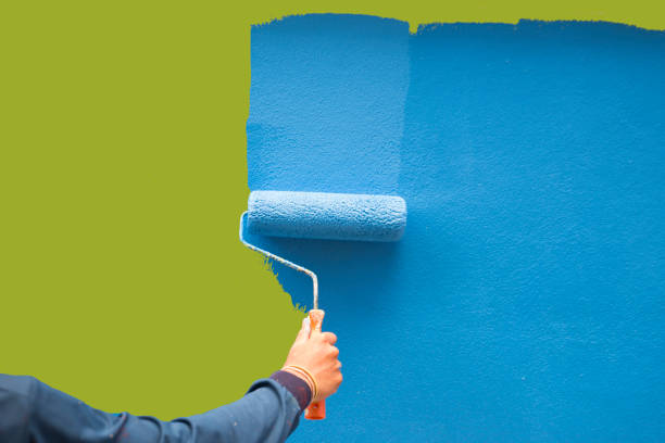 Best Residential Mold Inspection & Testing  in Potomac Heights, MD