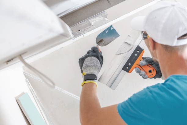 Best Water Damage & Mold Remediation  in Potomac Heights, MD